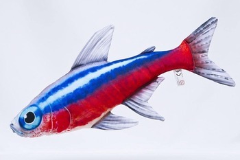 Foto - CUSHION, THE NEON TETRA, 53 cm