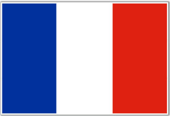 Foto - FLAG OF FRANCE, 30 x 45 cm