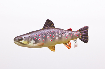 Foto - TROUT, MINI, 35 cm