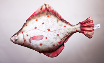 Foto - FLOUNDER, 40 cm