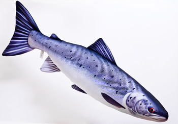 Foto - SALMON, 90 cm