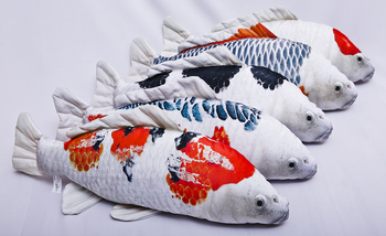 Foto - KOI CARP, BLUE/WHITE, 60 cm