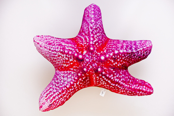 Foto - STARFISH, ORANGE, 50 cm