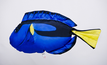 Foto - THE REGAL TANG, BLUE, 32 cm