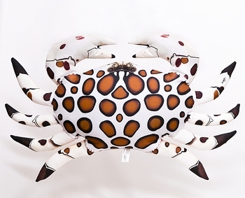 Foto - CALICO CRAB, WHITE, 60 cm