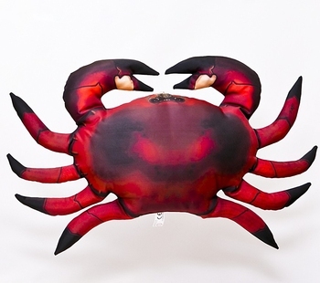 Foto - COMMON CRAB, RED, 60 cm