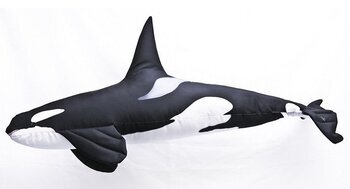 Foto - KILLER WHALE, 118 cm