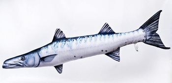 Foto - BARRACUDA, 110 cm