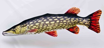 Foto - PIKE, MONSTER, 200 cm